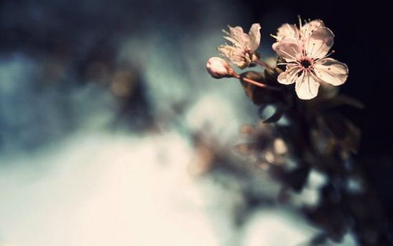 awesome_photos-1