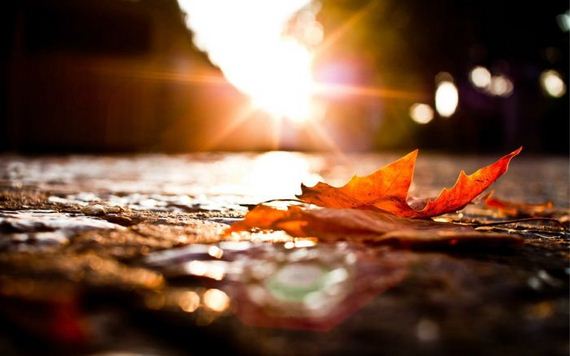 awesome_photos-1