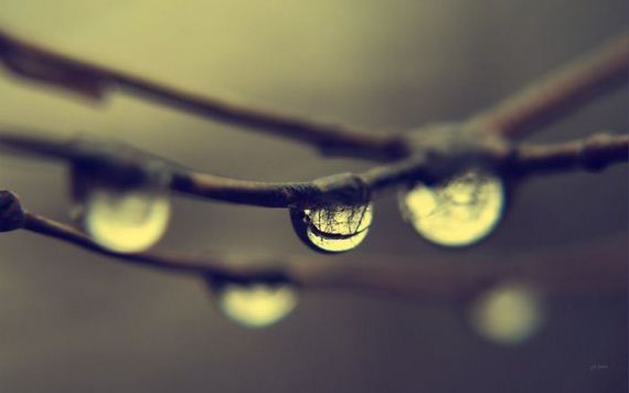 awesome_photos-1