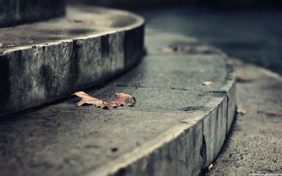 awesome_photos-1