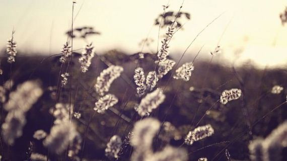awesome_photos-1