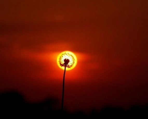 awesome_photos