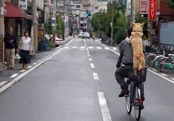 awesome_photos