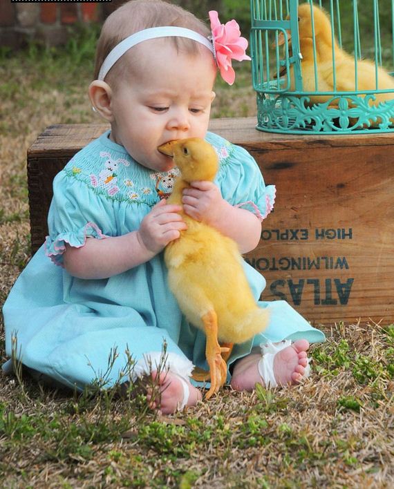 babies-sick-being-upstaged-their-pets