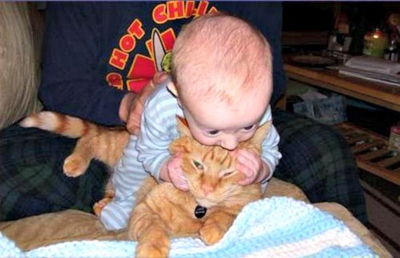 babies-sick-being-upstaged-their-pets