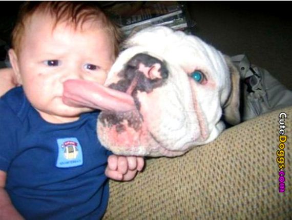 babies-sick-being-upstaged-their-pets