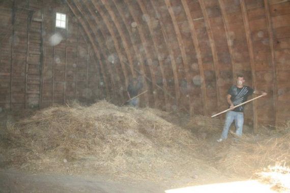 barn_01