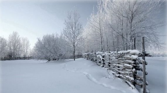 beautiful-nature-pictures-52
