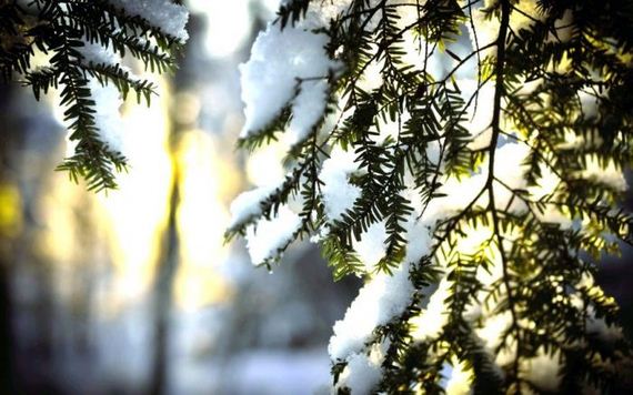 beautiful-nature-pictures-52