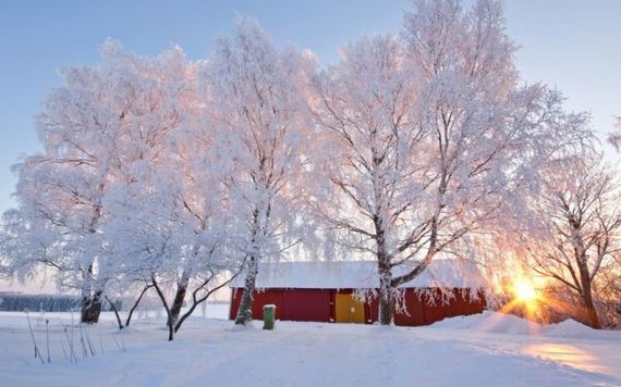 beautiful-nature-pictures-52