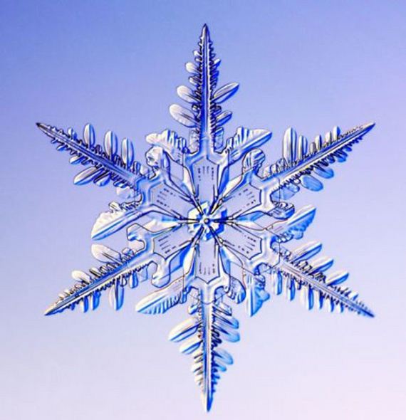 beauty_of_snowflakes_up_close
