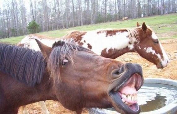 because_it_never_hurts_to_smile