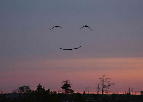 because_it_never_hurts_to_smile
