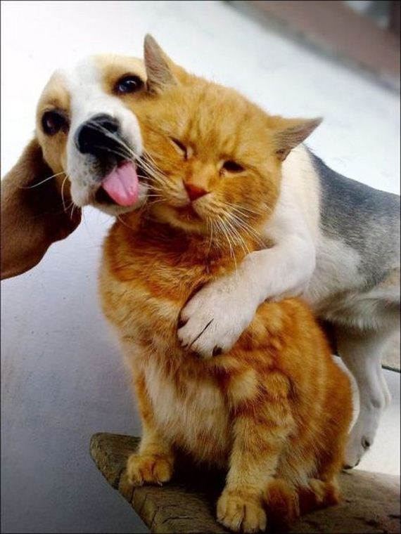 because_it_never_hurts_to_smile