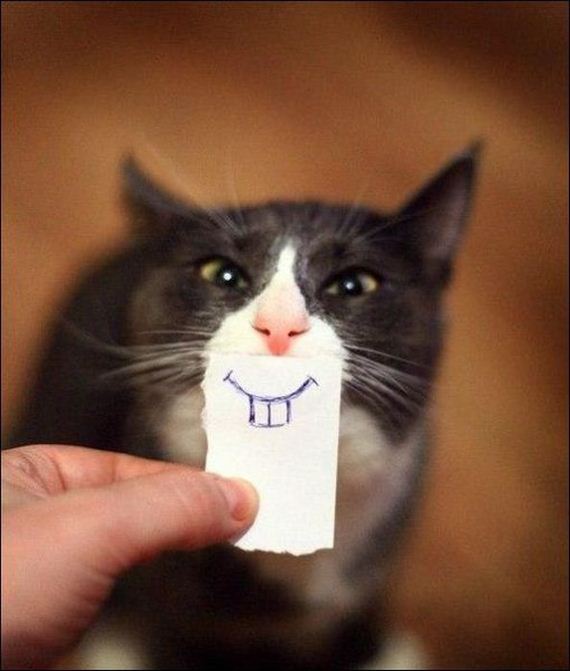 because_it_never_hurts_to_smile
