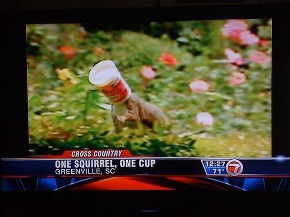 best_local_news_captions_of_all_time