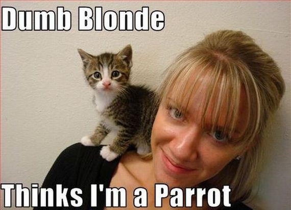 blondes_that_fail_miserably_every_time