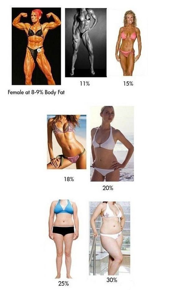 body-fat-percentage-explained-