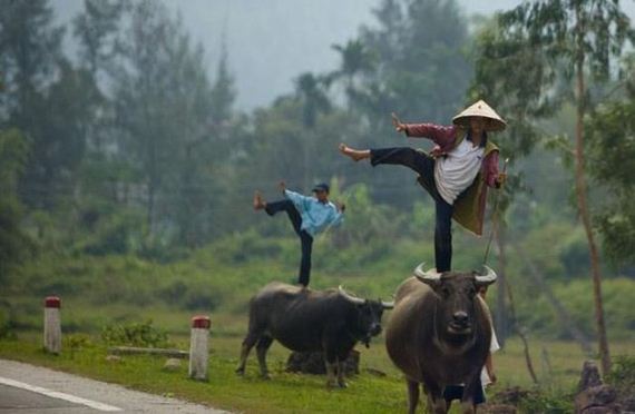 crazy-pictures