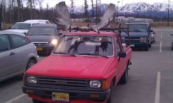 crazy_tings_that_only_happen_in_alaska