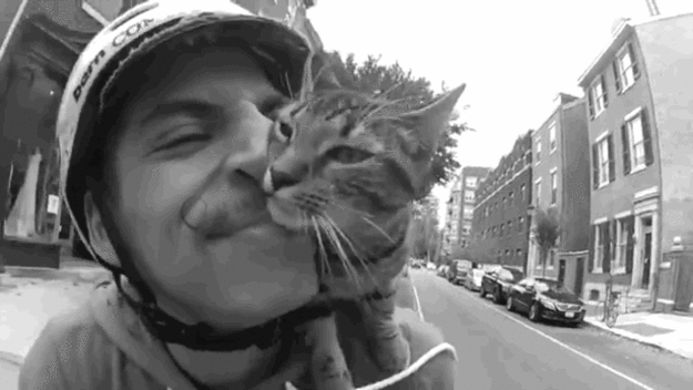 cyclist_and_his_cat