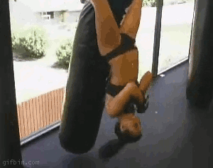 daily-gifdump-130