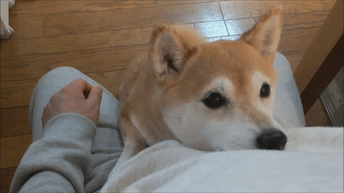 daily-gifdump-159
