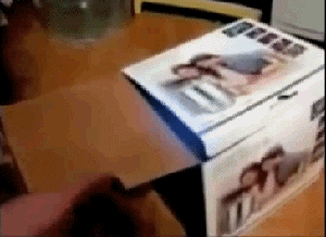 daily-gifdump-80