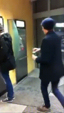 daily-gifdump-81