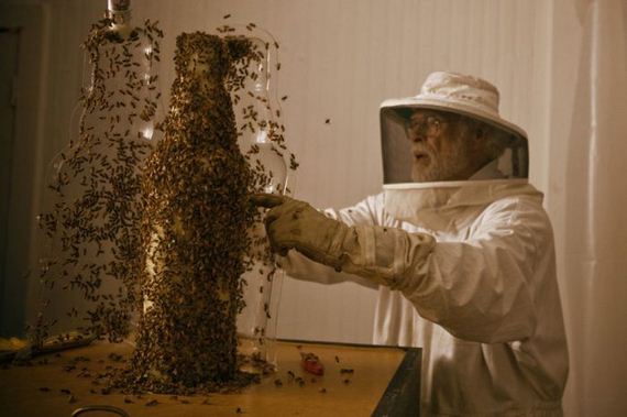 dewars_honey_bees