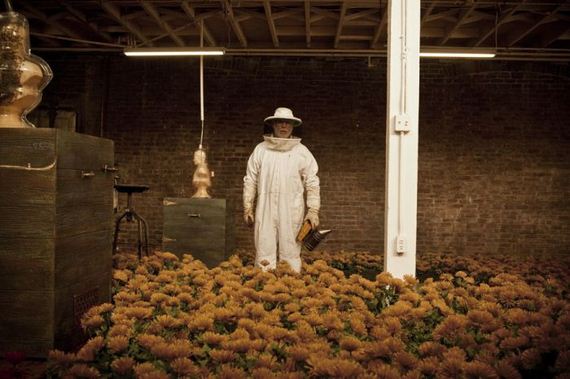 dewars_honey_bees