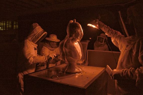 dewars_honey_bees