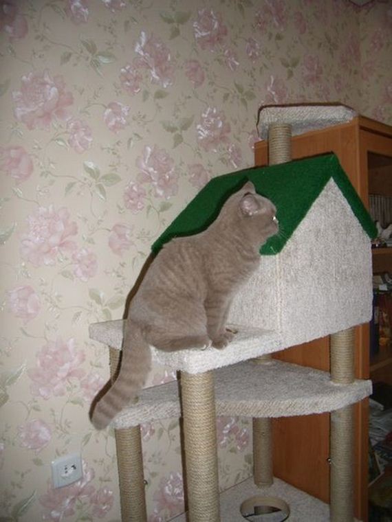 diy-cat-house