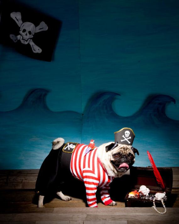 diy-halloween-costumes