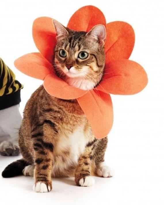 diy-halloween-costumes