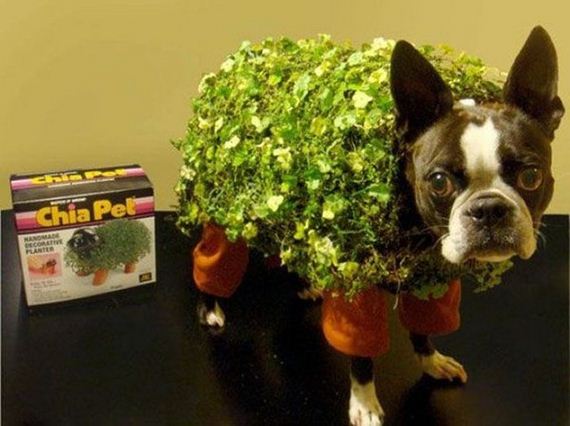 diy-halloween-costumes
