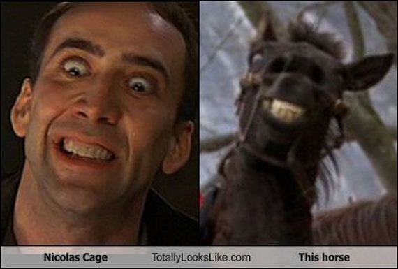 do_you_see_the_resemblance_05