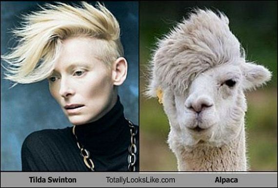 do_you_see_the_resemblance_05