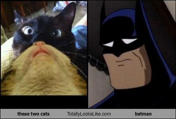 do_you_see_the_resemblance_05