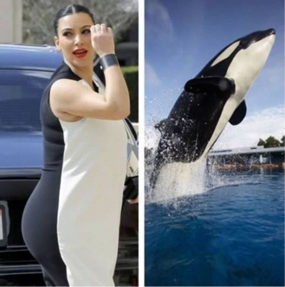 do_you_see_the_resemblance_05