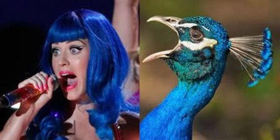 do_you_see_the_resemblance_05