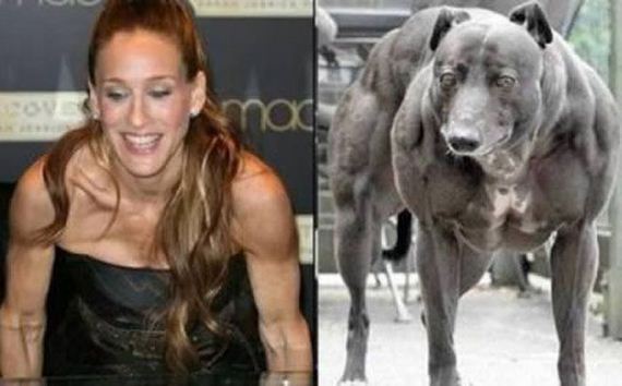 do_you_see_the_resemblance_05