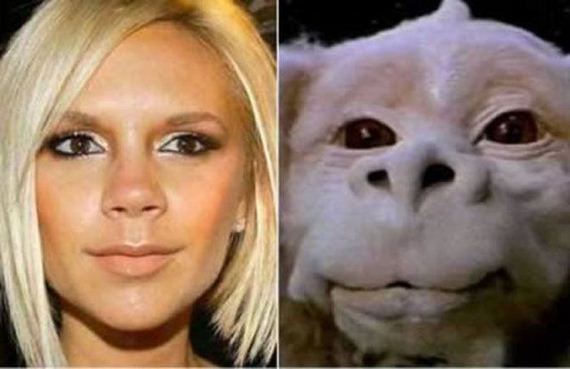 do_you_see_the_resemblance_05