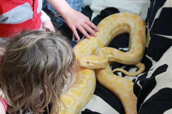 educational_fun_with_reptiles_at_childrens_parties