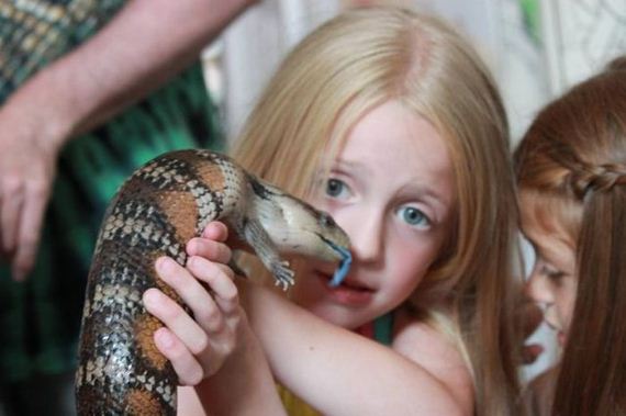 educational_fun_with_reptiles_at_childrens_parties