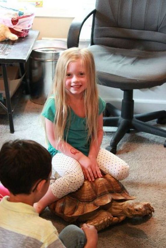 educational_fun_with_reptiles_at_childrens_parties