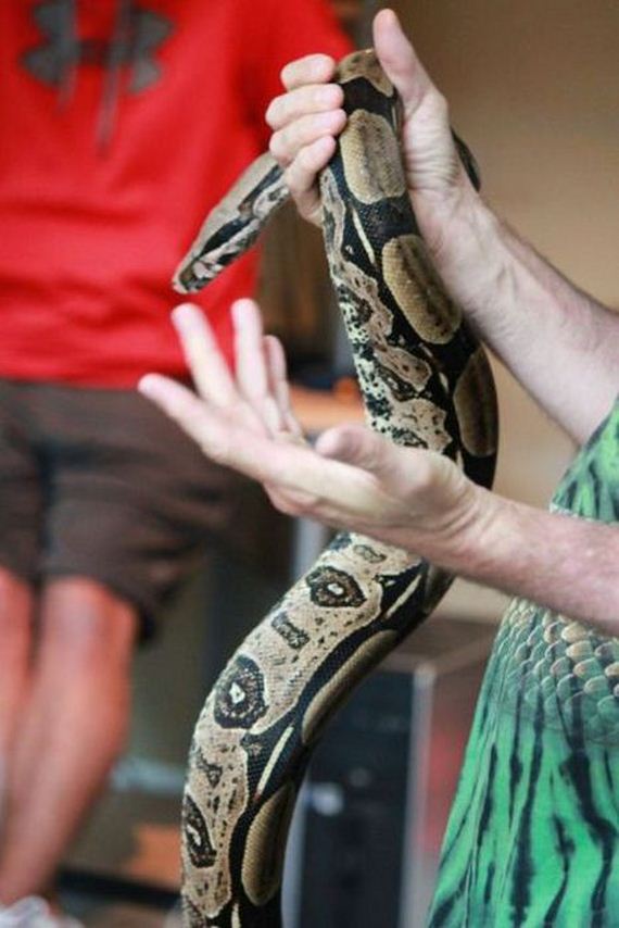 educational_fun_with_reptiles_at_childrens_parties