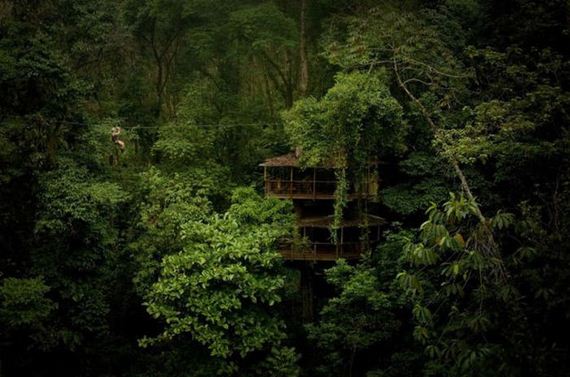 experience_treehouse_living_in_forested_costa_rica_resor
