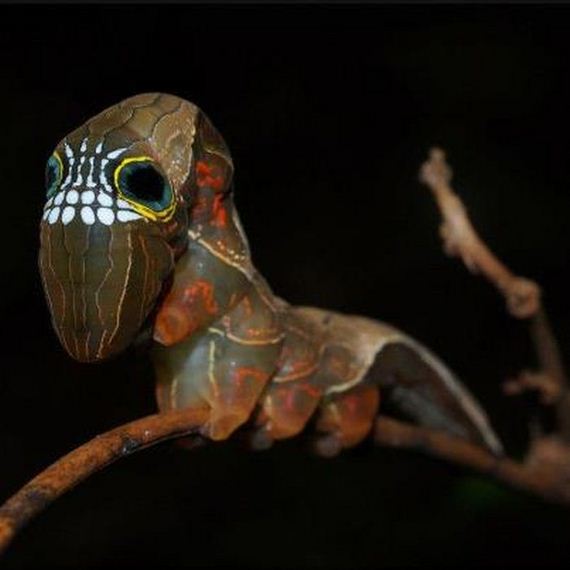 extraordinary_animals