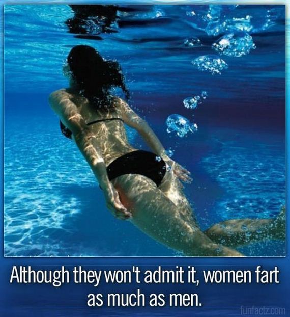 facts_01